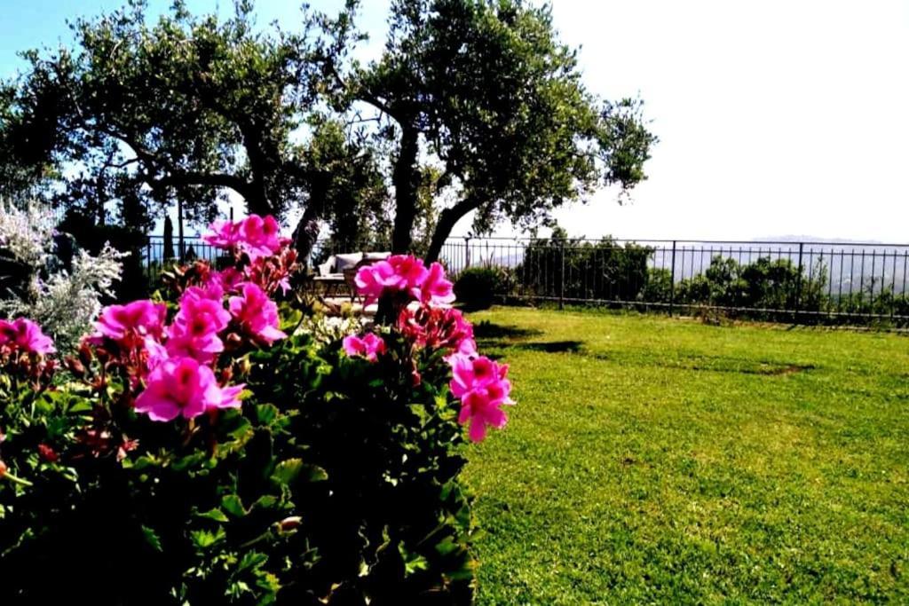 Casa Vista Mare - Superb Garden And Parking Included Villa Imperia Exterior photo